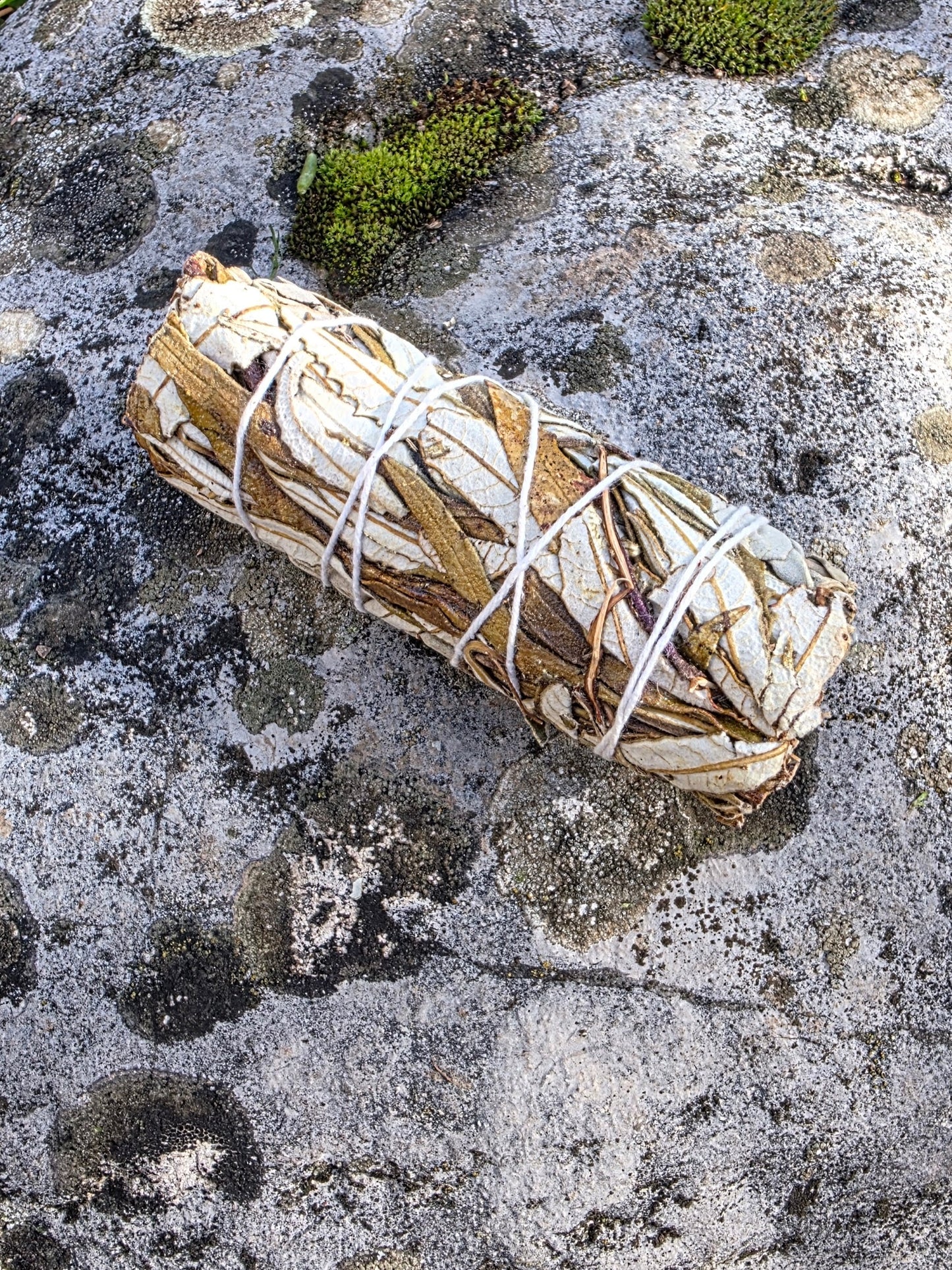 Baton de Sauge herbe sacré