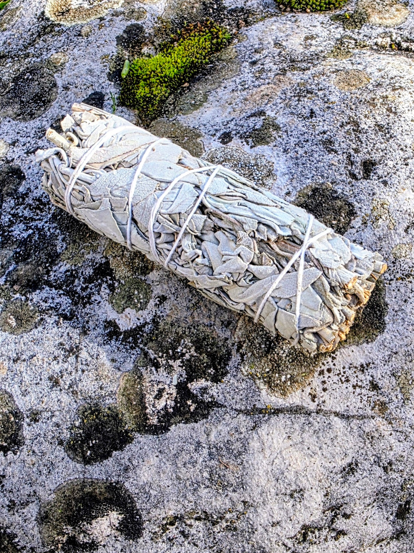 Bâton de Sauge Blanche 10cm